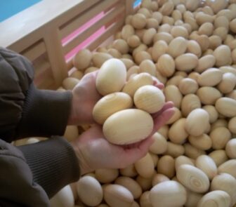 ひのきボールプール